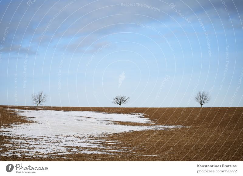 langsam aber sicher Natur Landschaft Himmel Wolken Winter Wetter Schnee Baum 3 Feld Hügel kalt natürlich schön blau braun grau weiß Vorfreude ruhig Klima