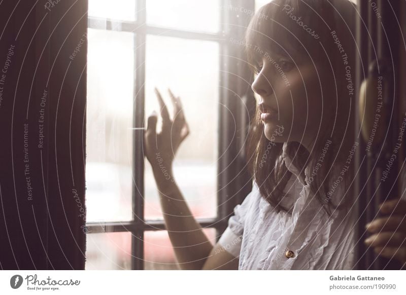 Augen, zu gross für meinen Kopf. feminin Junge Frau Jugendliche Haare & Frisuren Gesicht Brust Fenster Hemd brünett Holz berühren Blick alt ästhetisch Ferne