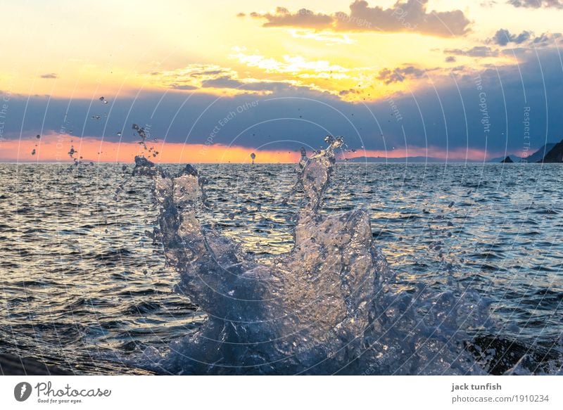 Splash Güterverkehr & Logistik Natur Wasser Sonne Sonnenaufgang Sonnenuntergang Sonnenlicht Schönes Wetter Wellen Küste blau gelb gold orange Wolken Farbfoto