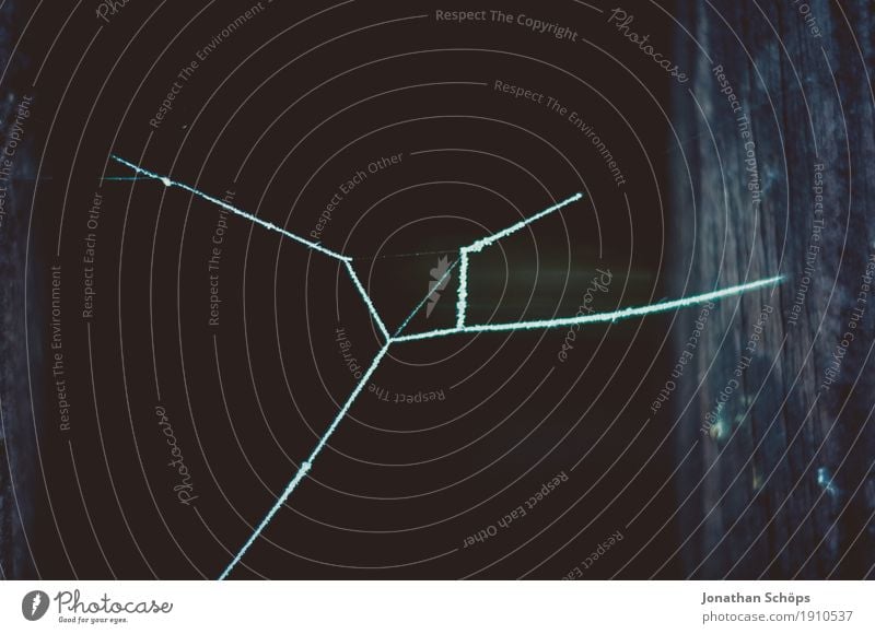 Eisige Spinnweben IX Winter Natur Pflanze Herbst Nebel Traurigkeit kalt Trauer Einsamkeit Vergänglichkeit Frost Jahreszeiten gefroren Spinnennetz Halloween