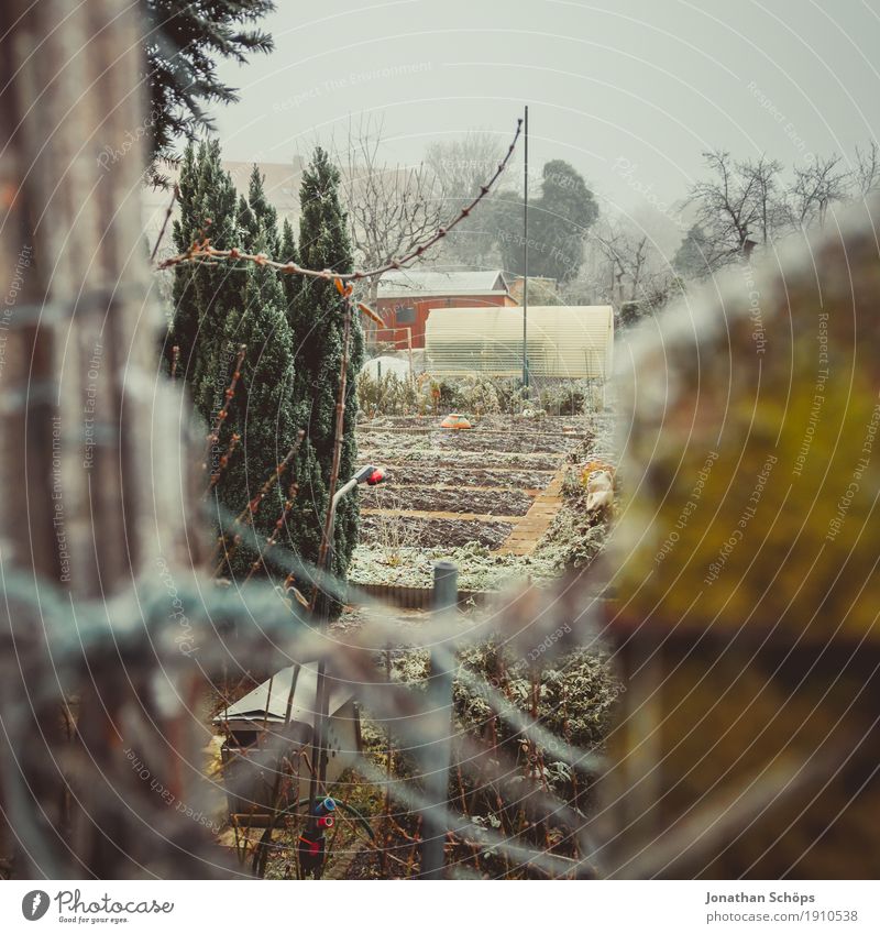 Väterchen Frost VII Winter Natur Pflanze Herbst Nebel Traurigkeit kalt Trauer Einsamkeit Vergänglichkeit Erfurt Jahreszeiten Zaun Garten Gartenarbeit Heimat