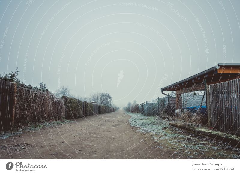 Väterchen Frost VI Winter Natur Pflanze Herbst Nebel Traurigkeit kalt Trauer Sehnsucht Fernweh Einsamkeit Zufriedenheit stagnierend Vergänglichkeit Erfurt