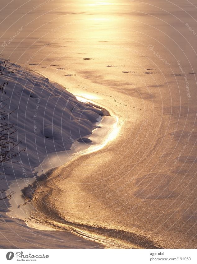 Lake of gold Umwelt Landschaft Urelemente Erde Wasser Sonnenlicht Winter Klima Schönes Wetter Eis Frost Schnee Seeufer Kristalle beobachten Erholung frieren