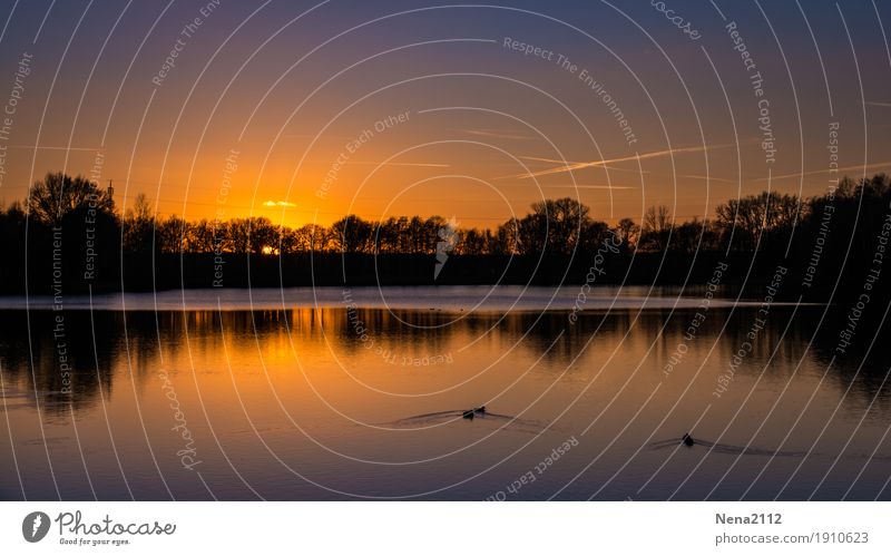 Ade Sommer Umwelt Natur Landschaft Wasser Himmel Wolkenloser Himmel Nachthimmel Klima Wetter Schönes Wetter Wärme See authentisch fantastisch Ferne