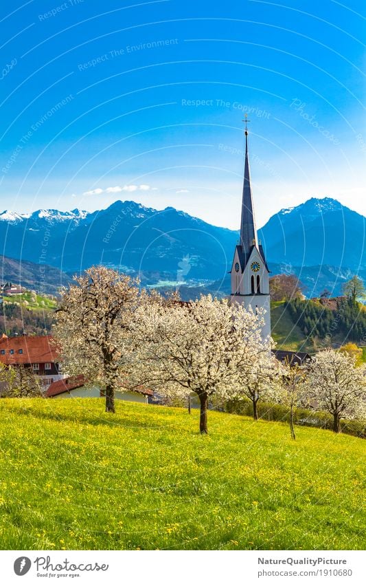 fraxern Ferien & Urlaub & Reisen Tourismus Ferne Sommer Sommerurlaub Architektur Kultur Natur Sonnenlicht Frühling Schönes Wetter Baum Blume Gras Blüte