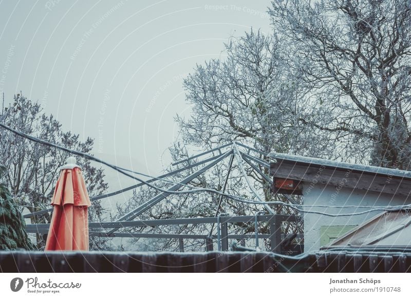 Väterchen Frost V Winter Natur Pflanze Herbst Nebel Traurigkeit kalt Trauer Einsamkeit Vergänglichkeit Erfurt Jahreszeiten Garten Schrebergarten Ferienhaus