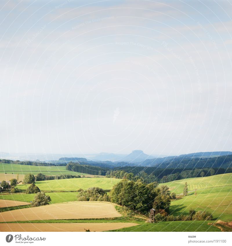 Sachsen Ferien & Urlaub & Reisen Tourismus Ausflug Ferne Umwelt Natur Landschaft Klima Schönes Wetter Baum Wiese Feld Wald natürlich Wachstum Überblick Heimat