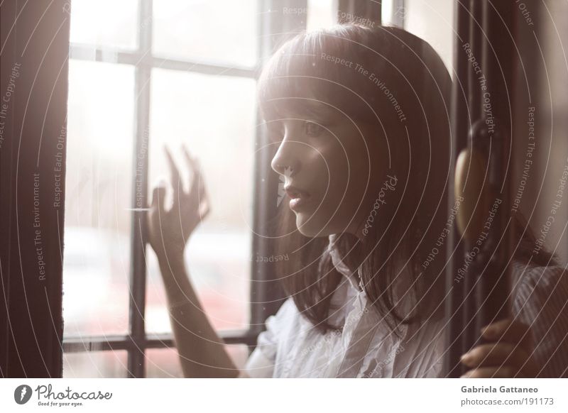 Regung feminin Haare & Frisuren 1 Mensch Hemd beobachten Blick dunkel schön trist braun Gefühle Stimmung Romantik ruhig Selbstbeherrschung träumen Traurigkeit