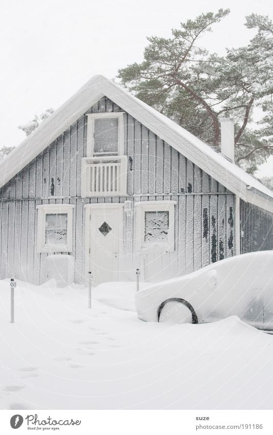 Schneedecke Ferien & Urlaub & Reisen Winterurlaub Häusliches Leben Haus Umwelt Natur Einfamilienhaus Hütte Fahrzeug PKW hell kalt weiß Schneesturm Ferienhaus