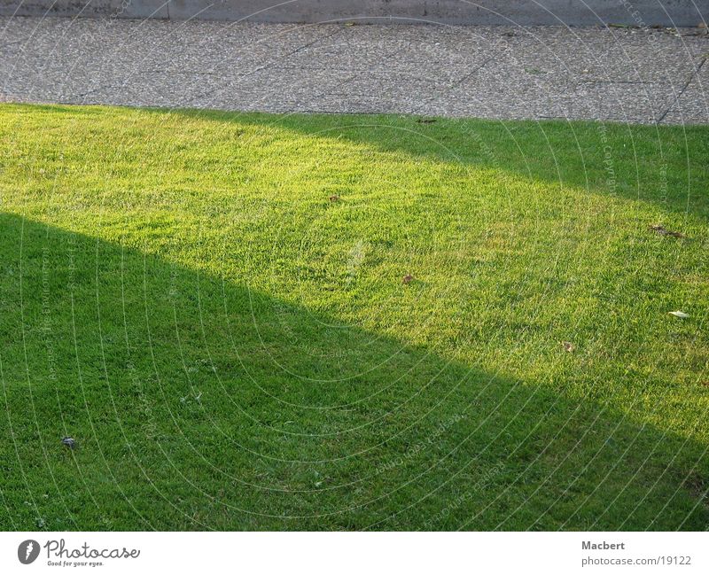 Grünstreifen grün Streiflicht Bürgersteig Rasen Sonne Schatten