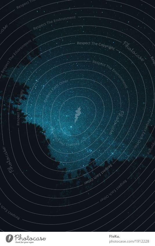 Sterne über Dänemark Umwelt Natur Urelemente Himmel Wolkenloser Himmel Baum außergewöhnlich dunkel gigantisch natürlich blau schwarz Stimmung Astronomie