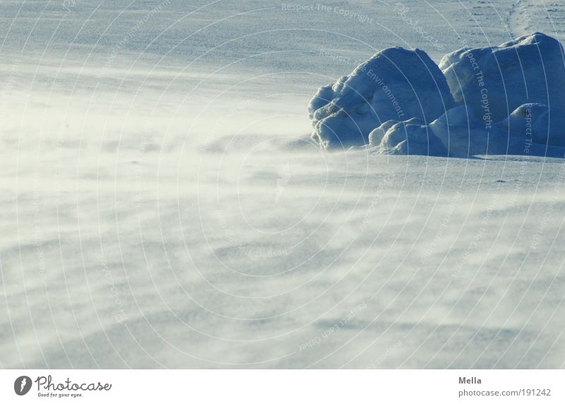 Rauhe Schneesee Umwelt Natur Landschaft Urelemente Winter Klima Klimawandel Wetter schlechtes Wetter Unwetter Wind Sturm Eis Frost kalt natürlich wild wehen