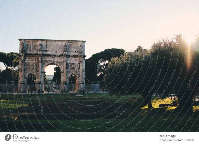 Arco di Costantino Natur Landschaft Winter Schönes Wetter Baum blau grün Triumphbogen Rom zeitlos Römer Olivenbaum Olivenhain Ruine Ausgrabungen antik Pinie