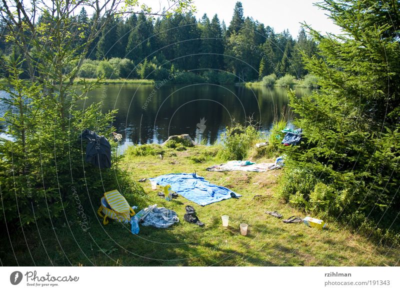 verlassener Picknick Platz Sommer Sonne Natur Baum Wald Teich See grün Einsamkeit chaotisch Umweltschutz Etang de Royes Europa Freiberge Gewässer Jura Moorsee