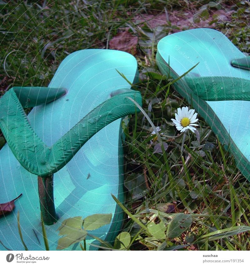 badetag Sommer Schönes Wetter Gras Wiese See Mode Flipflops Kunststoff Fröhlichkeit Lebensfreude Ferien & Urlaub & Reisen Natur badeschlappen fußbekleidung