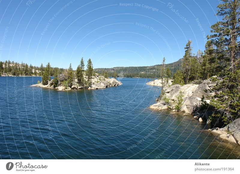 Silver Lake Natur Landschaft Urelemente Wasser Wolkenloser Himmel Sommer Schönes Wetter Baum Wildpflanze Wald Felsen Berge u. Gebirge Insel See atmen Erholung