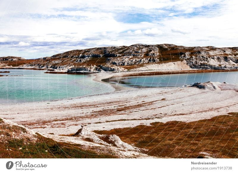 Küste an der Barentssee in Norwegen Ferien & Urlaub & Reisen Ferne Meer Insel Natur Landschaft Urelemente Wasser Frühling Sommer Gras Felsen wandern maritim