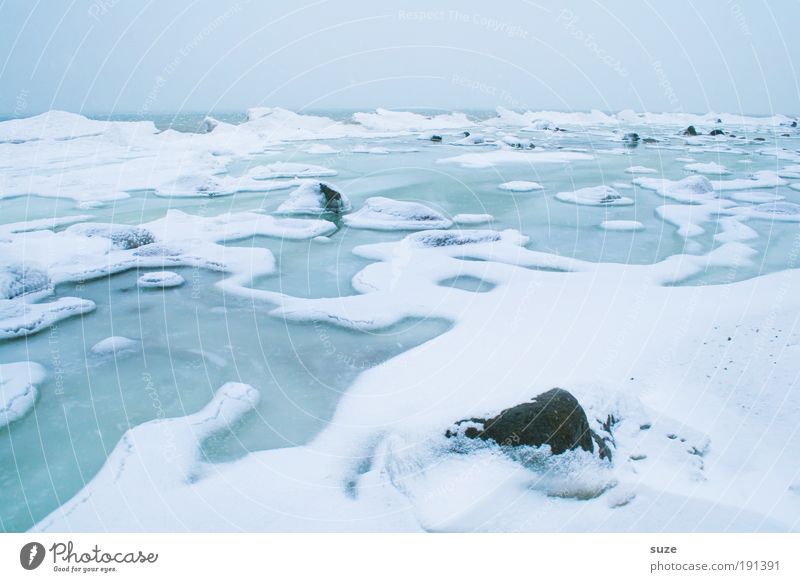 Ostseeküste Umwelt Natur Landschaft Urelemente Luft Wasser Himmel Wolkenloser Himmel Horizont Winter Klima Wetter Nebel Eis Frost Schnee Küste Meer Stein kalt