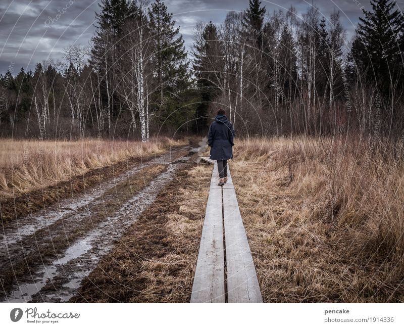 laufsteg Mensch feminin 1 Natur Landschaft Urelemente Erde Himmel Wolken Herbst Winter Wald Moor Sumpf wandern Vertrauen Sicherheit Steg Holz trocken