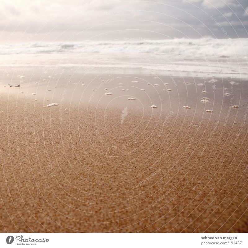 da ist ja kein bisschen grün drin Umwelt Natur Landschaft Urelemente Erde Sand Luft Wasser Wassertropfen Himmel Wolken Klima Wetter Schönes Wetter Wind Sturm