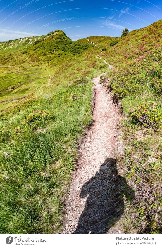 footpath Gesundheit sportlich Fitness Allergie Leben harmonisch Wohlgefühl Zufriedenheit Sinnesorgane Erholung ruhig Meditation Ferien & Urlaub & Reisen