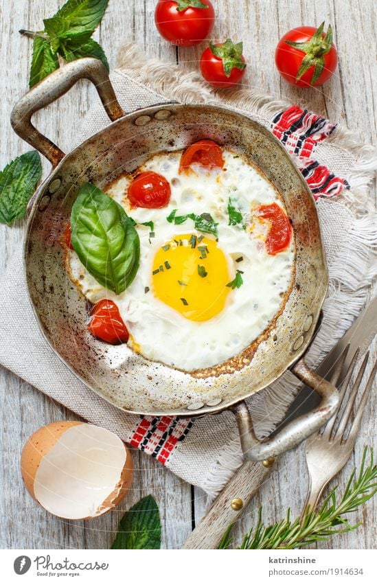 Spiegelei mit Tomaten und Kräutern auf einer alten Bratpfanne Gemüse Kräuter & Gewürze Essen Frühstück Abendessen Pfanne frisch gelb grün rot Cholesterin