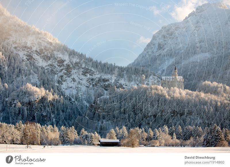 Schloss Neuschwanstein Ferien & Urlaub & Reisen Tourismus Ausflug Sightseeing Städtereise Winter Schnee Winterurlaub Berge u. Gebirge wandern Landschaft Himmel