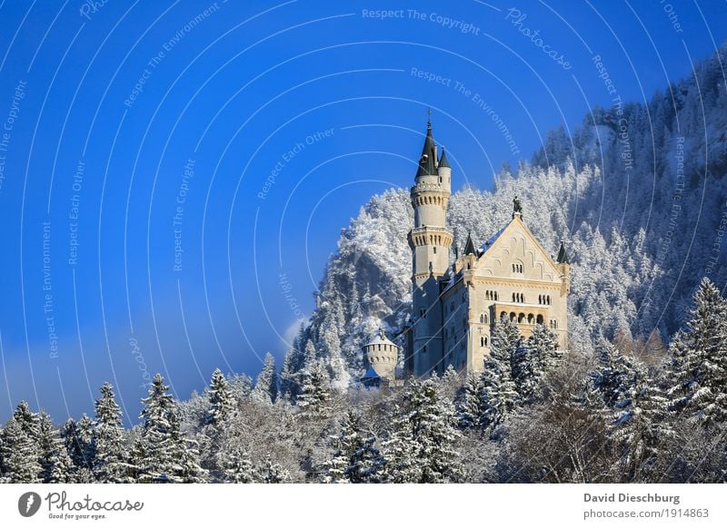 Touristenmagnet Ferien & Urlaub & Reisen Tourismus Sightseeing Natur Landschaft Winter Schönes Wetter Eis Frost Schnee Pflanze Baum Wald Berge u. Gebirge Palast