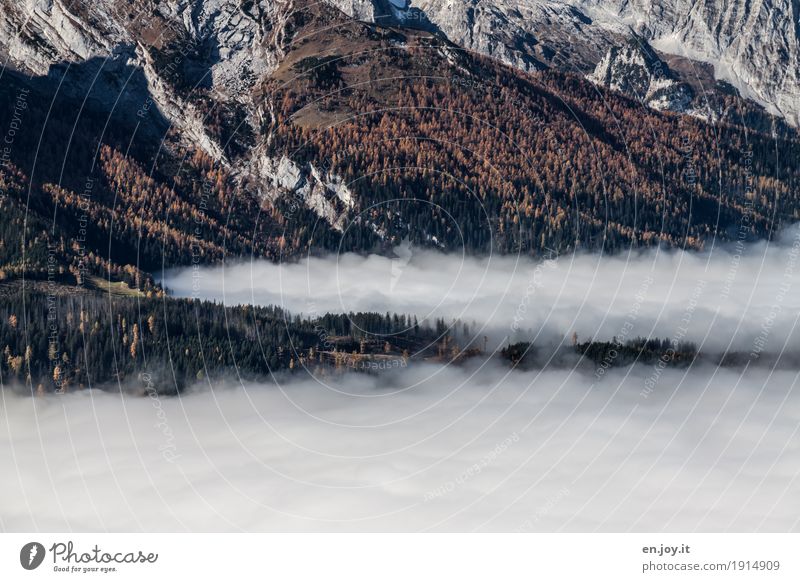 bodenlos Ferien & Urlaub & Reisen Ferne Berge u. Gebirge Natur Landschaft Pflanze Wolken Herbst Klima Nebel Wald Felsen Religion & Glaube Umwelt Wolkenschicht