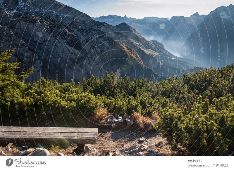 schöne Aussichten Ferien & Urlaub & Reisen Berge u. Gebirge Natur Landschaft Pflanze Himmel Herbst Schönes Wetter Kiefer Nadelbaum Alpen Berchtesgadener Alpen