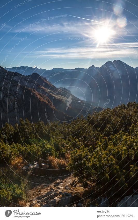 Höhensonne Ferien & Urlaub & Reisen Tourismus Ausflug Ferne Freiheit Berge u. Gebirge Natur Landschaft Himmel Sonne Schönes Wetter Kiefer Alpen