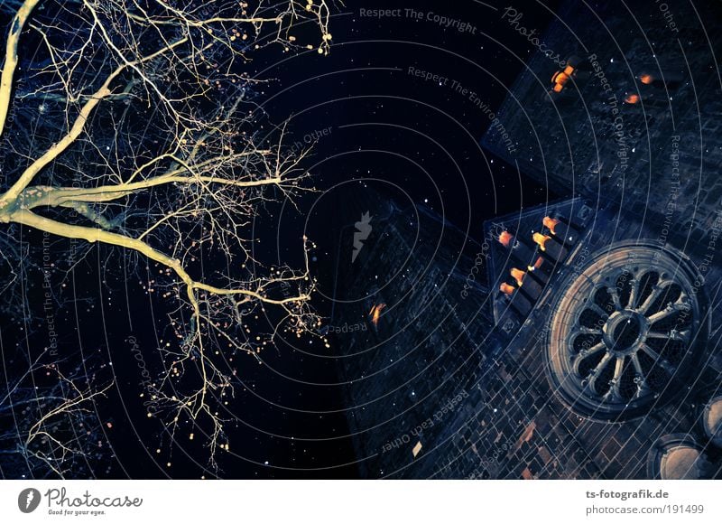 Dauerbrenner Nachthimmel Stern Winter Gewitter Schnee Schneefall Baum Ast Altstadt Kirche Dom Turm Mauer Wand Fassade Fenster Sehenswürdigkeit Feuer Brand