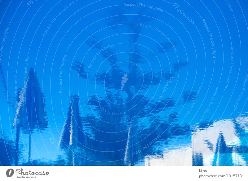 Reflektionen Zufriedenheit Erholung Schwimmbad Schwimmen & Baden Ferien & Urlaub & Reisen Tourismus Ausflug Sommer Sommerurlaub Sonne blau Erwartung