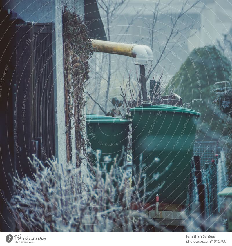 Väterchen Frost XVI Winter Natur Pflanze Herbst Nebel Traurigkeit kalt Trauer Einsamkeit Hemmung Vergänglichkeit Jahreszeiten Fass Wasser Wasserfass Garten