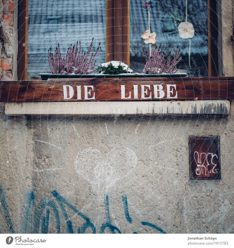 Liebe, die Winter Haus Fenster ästhetisch schön Glück Fröhlichkeit Warmherzigkeit Sympathie Freundschaft Zusammensein Verliebtheit Treue Romantik Typographie