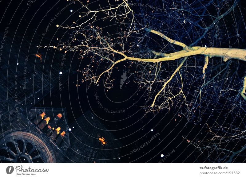 Dauerbrenner II Himmel Nachthimmel Stern Winter Wind Gewitter Schnee Schneefall Baum Ast Kirche Kirchturm Kathedrale Mittelalter Brandstiftung Feuer Stein Kreuz