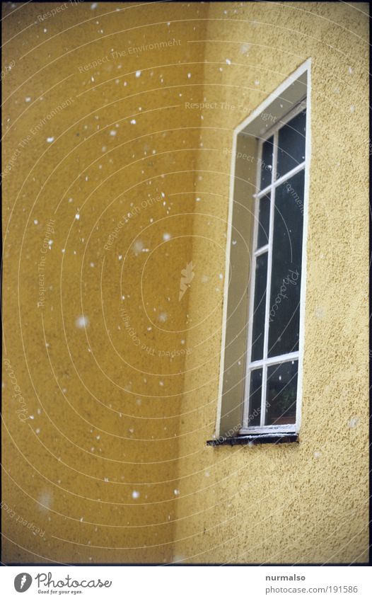 leise rieselt der . . . Häusliches Leben Wohnung Kunst Umwelt Natur Winter Klimawandel Wetter Eis Frost Schneefall Haus Hochhaus Stadthaus Treppe Fassade