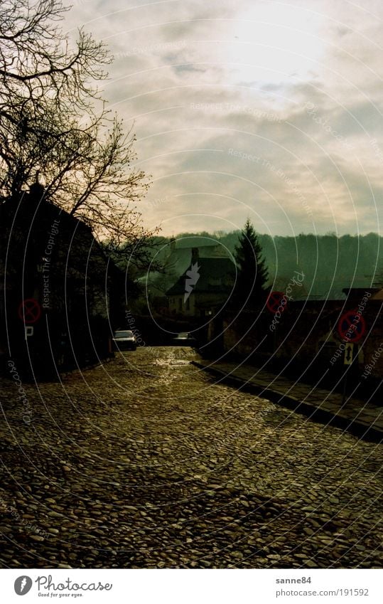 Kazimierz Ausflug Ferne Freiheit Kazimierz Dolny Polen Dorf Haus Straße Kopfsteinpflaster Stein glänzend Geborgenheit ruhig Heimweh Heimat Farbfoto