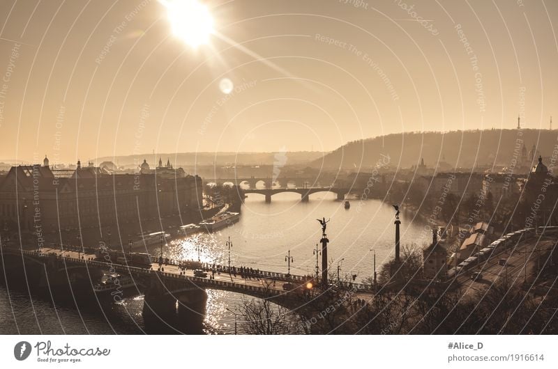 Wintersonne über Fluss Moldau/ Vitava Ferien & Urlaub & Reisen Landschaft Wasser Sonnenlicht Nebel Flussufer Flusslandschaft Prag Tschechien Europa Hauptstadt