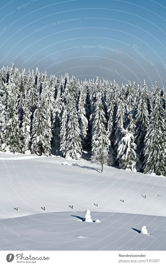 Tauwetter nicht in Sicht Lifestyle Freude Tourismus Ausflug Winter Schnee Winterurlaub Berge u. Gebirge Natur Landschaft Urelemente Himmel Sonne Schönes Wetter