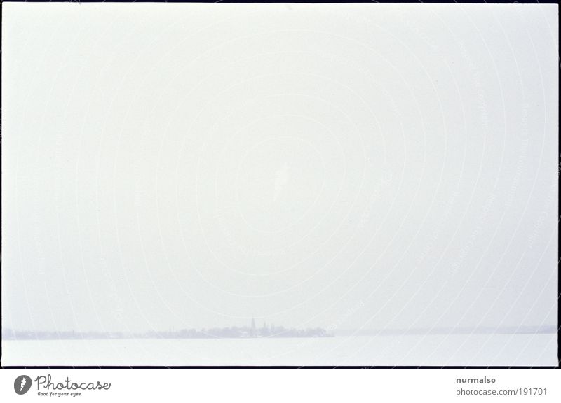 wenig Kunst Umwelt Natur Landschaft Pflanze Tier Horizont Klima Wetter Nebel Eis Frost Schnee Küste Flussufer Insel Havel Werder Havel Kleinstadt Skyline