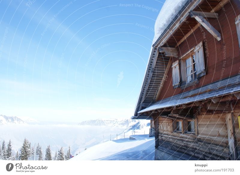 Nebelmeer und Alpenhütte Wohlgefühl Erholung ruhig Ferien & Urlaub & Reisen Tourismus Freiheit Haus wandern Feierabend Umwelt Natur Landschaft Himmel Sonne