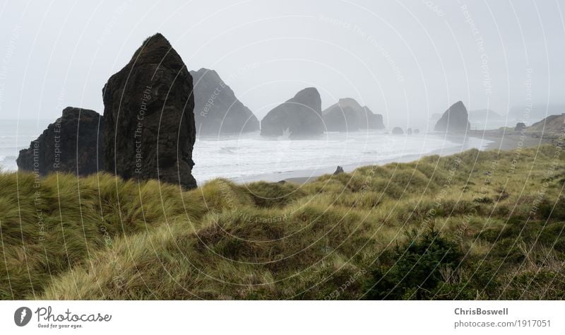 Nebel Rols in der Westküste des Pazifischen Ozeans schön Ferien & Urlaub & Reisen Strand Meer Wellen Natur Landschaft Sand Himmel Wolken Unwetter Wind Gras