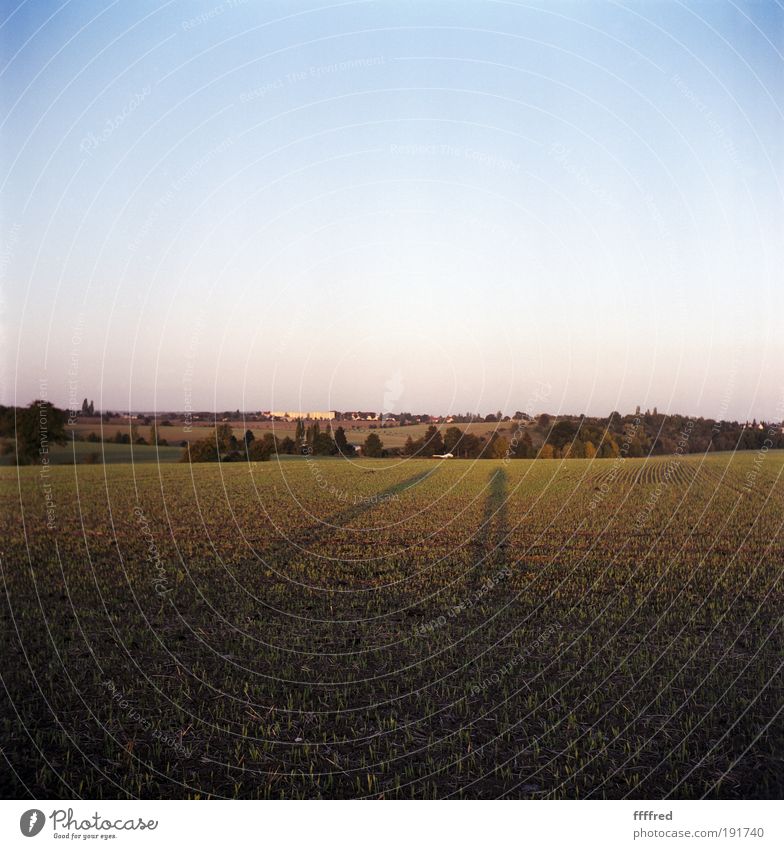 long man shadow Mensch 2 Natur Landschaft Himmel Wolkenloser Himmel Horizont Sonnenaufgang Sonnenuntergang Herbst Schönes Wetter Feld Hügel warten blau grün