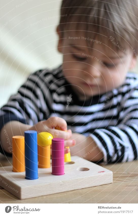 Spielzeit Freude Glück Freizeit & Hobby Spielen Mensch maskulin Kind Kleinkind Junge 1 1-3 Jahre Spielzeug Holz gebrauchen festhalten authentisch Erfolg klein