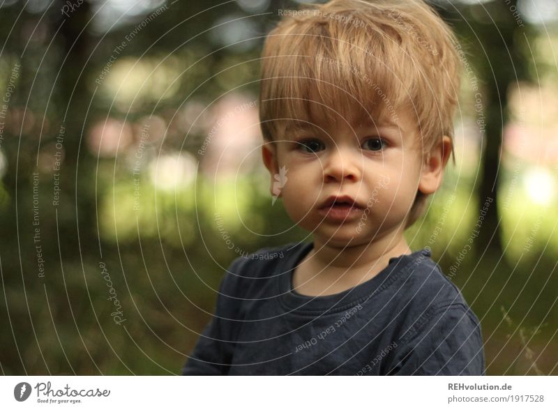 im Wald Mensch maskulin Kind Kleinkind Junge Kindheit Gesicht 1 1-3 Jahre Umwelt Natur Sommer Pflanze Baum authentisch klein natürlich niedlich grün Farbfoto