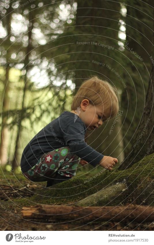 Entdeckung Mensch maskulin Kind Kleinkind Junge Kindheit 1 1-3 Jahre Umwelt Natur Landschaft Sommer Baum Moos Wald beobachten entdecken hocken lernen