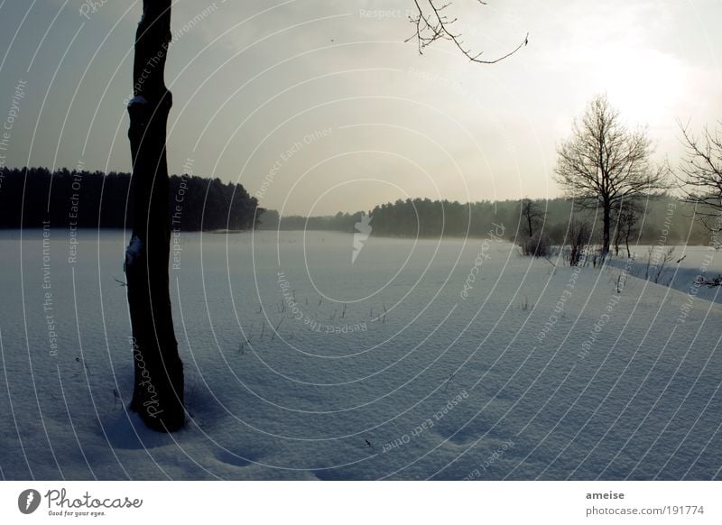 morgensonne Ausflug Winter Schnee Winterurlaub Natur Landschaft Himmel Sonnenlicht Schönes Wetter Feld Wald blau gelb Geborgenheit Ferien & Urlaub & Reisen