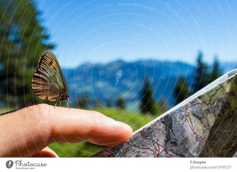 Natur entdecken III Hand schön achtsam Vorsicht Gelassenheit Abenteuer Idylle Inspiration Lebensfreude Zufriedenheit Schmetterling Spielkarte Landkarte Sommer