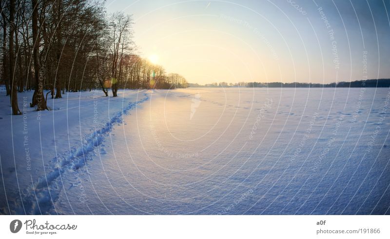 See Umwelt Natur Landschaft Urelemente Wasser Wolkenloser Himmel Sonne Sonnenaufgang Sonnenuntergang Sonnenlicht Winter Klima Klimawandel Wetter Schönes Wetter